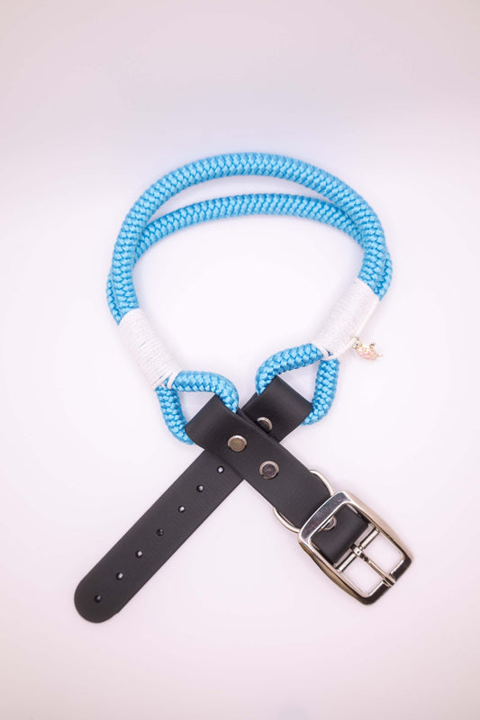 Halsband - You Turtelly Rock Dude